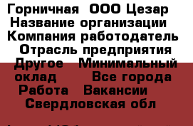 Горничная. ООО Цезар › Название организации ­ Компания-работодатель › Отрасль предприятия ­ Другое › Минимальный оклад ­ 1 - Все города Работа » Вакансии   . Свердловская обл.